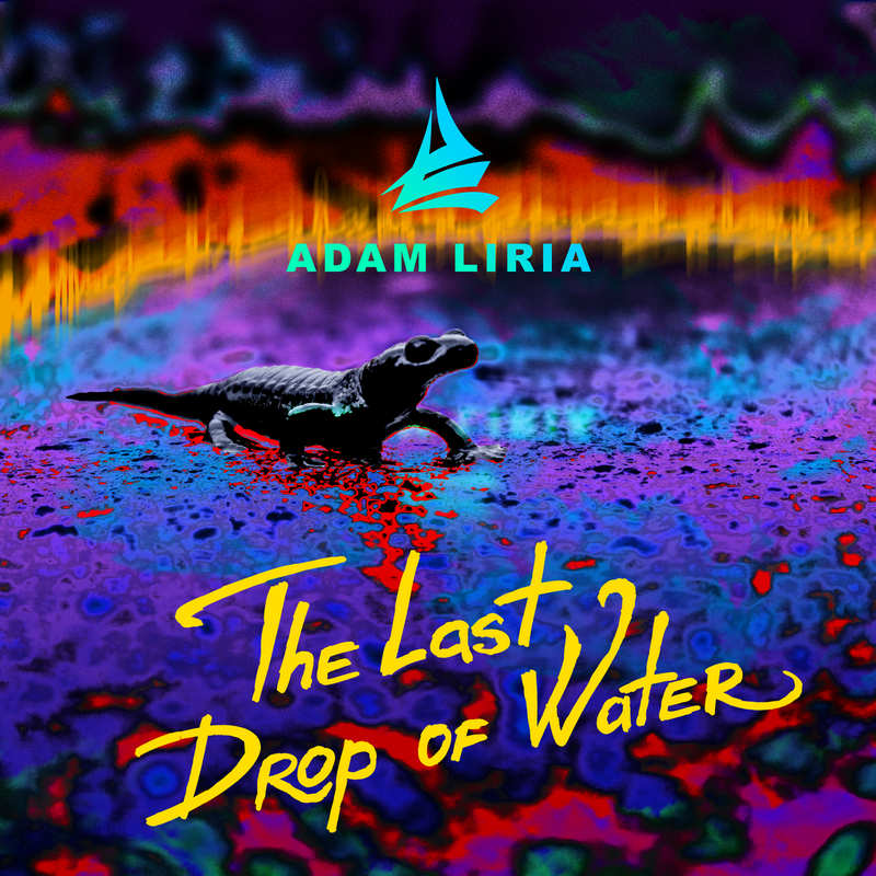 The Last Drop Of Water