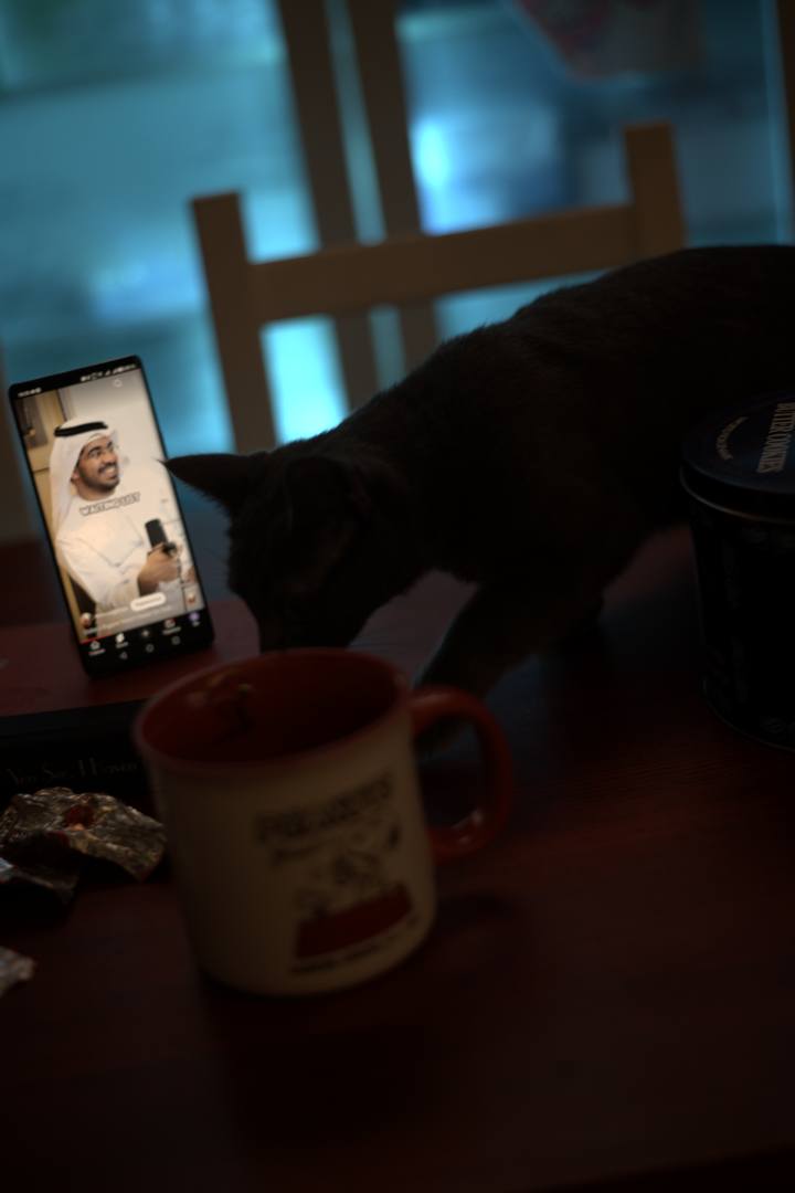 Alone Inside